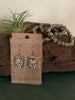 Pepper Spice Earrings